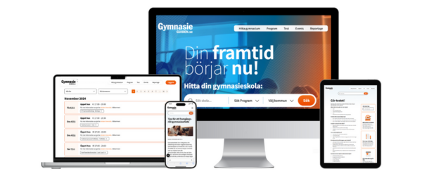 Namnlös design - 2024-11-29T112936.403.png
